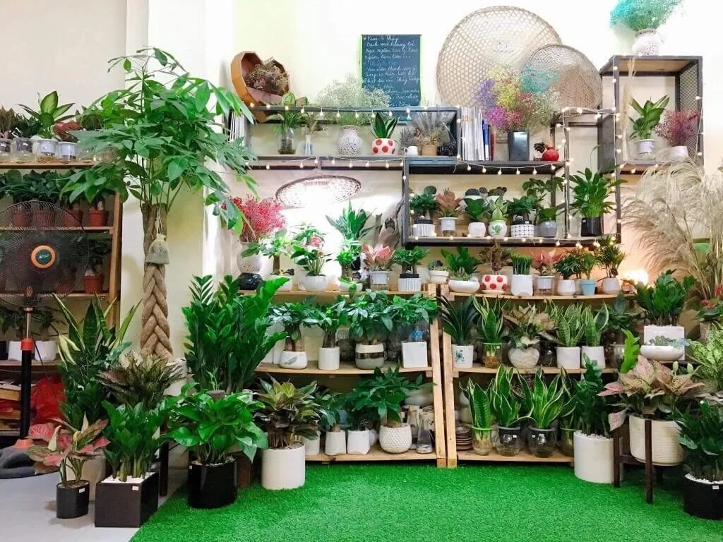 Bí quyết chọn cây cảnh mini