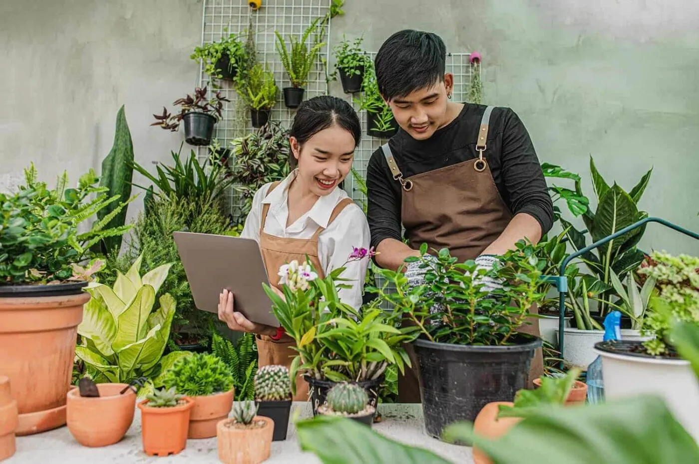 Bí quyết chọn cây cảnh trồng ban công