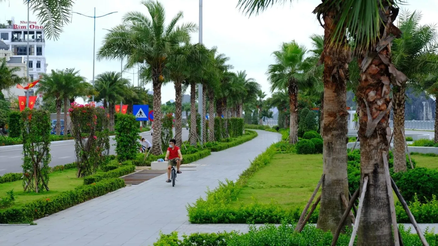 Cây chà là Trung Đông