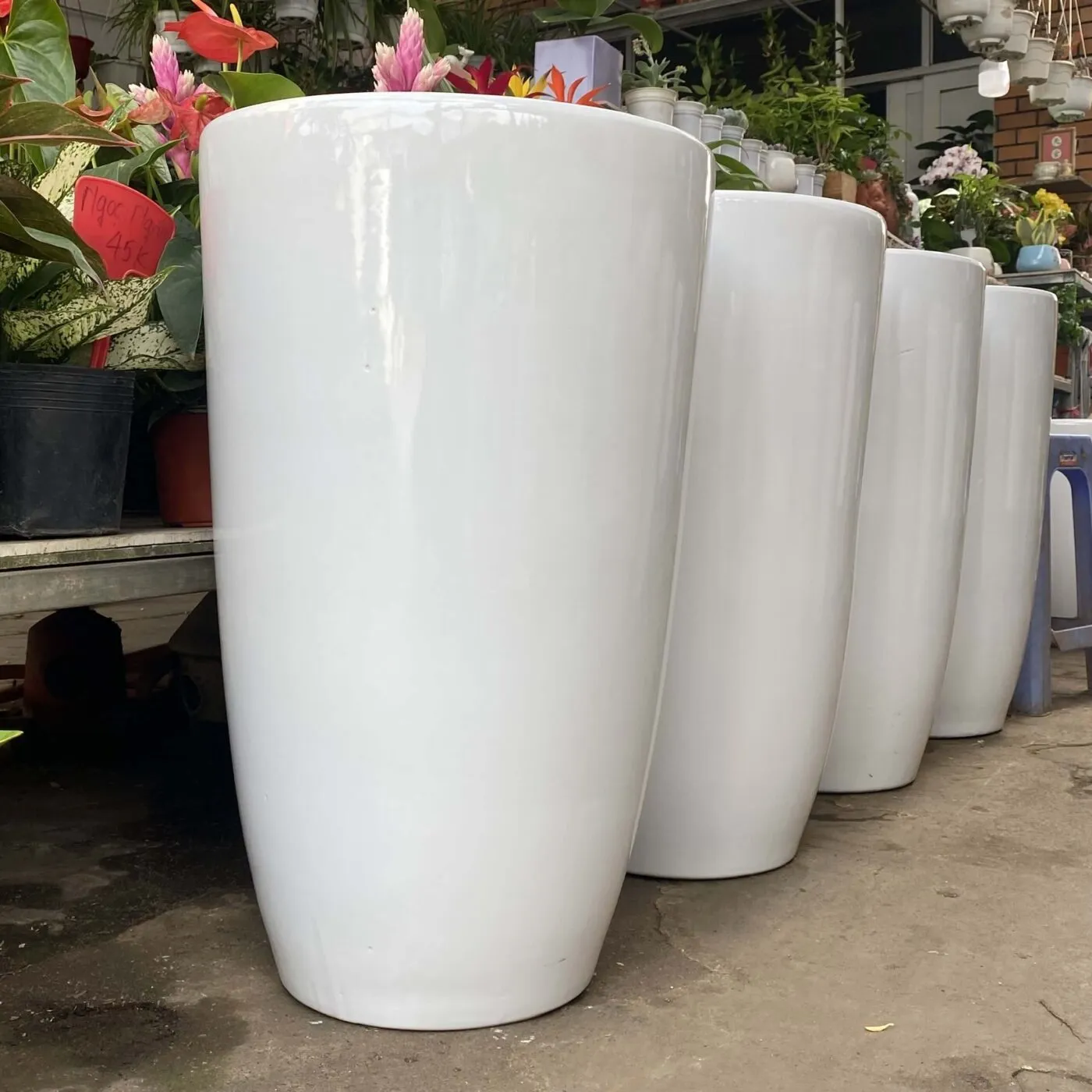 Chậu cây cảnh bằng sứ trắng