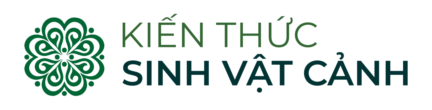 kienthucsinhvatcanh.com
