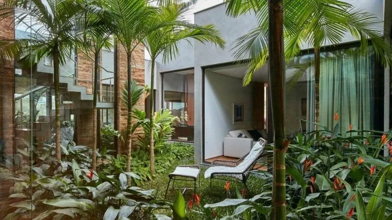 Tiêu chí chọn cây cảnh đẹp trồng trước nhà